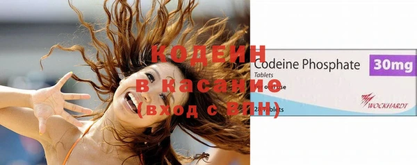 шишки Абаза