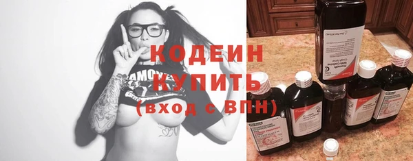 шишки Абаза