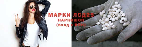 шишки Абаза