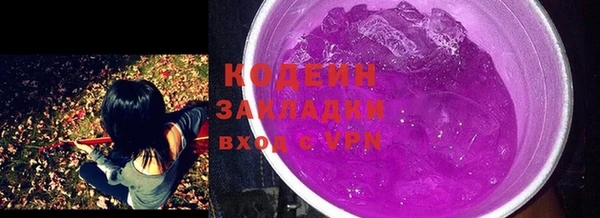 шишки Абаза
