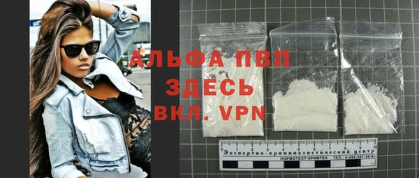 шишки Абаза