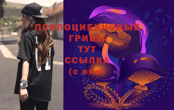 a pvp Абдулино