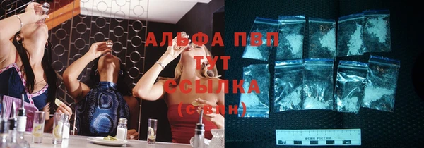 шишки Абаза