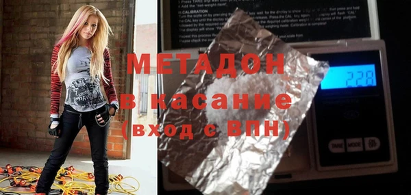 шишки Абаза